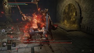 ELDEN RING 雙熔爐騎士 雙盾反 Crucible Knight duo / double parry 艾爾登法環