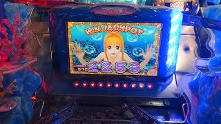 海物語ラッキーマリンシアターデラックス ジャックポットチャレンジ 2253 WIN JACKPOT(メダルゲーム)2023年7月4日