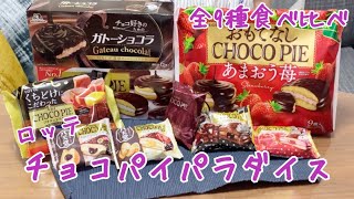 【食べ比べ】ロッテチョコパイパラダイス　9種制覇