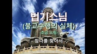 불교수행의 실체[조금느림버젼] 돈오견성하신 법기스님의 참나를 찾아가는 법문입니다.