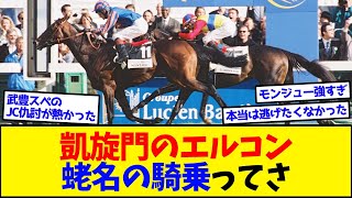 【競馬】凱旋門のエルコン蛯名の騎乗ってさ