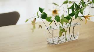 Fritz Hansen - Ikebana vase long