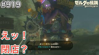 【#919】タバンタ地方にマモノショップあり！[ゼルダの伝説 ブレスオブザワイルド]