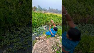 Village woman catching hook fishing 🎣 in village mud canal water #bass #fish #villagelife