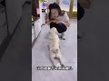 我居然被一只狗算计了！ #萌宠 #二迷糊 #狗狗 #pets 【二迷糊】