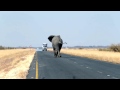 Botswana: Best Safari Destinations In Africa