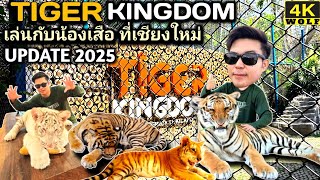 TIGER KINGDOM 2025 VLOG เล่นกับน้องเสือในกรง อัพเดทล่าสุดคุ้มเสือ!!! #tigerkingdom #คุ้มเสือ