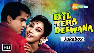 Dil Tera Deewana Jukebox - Full Album Songs| दिल तेरा दीवाना है सनम | Shammi Kapoor| Lata Mangeshkar