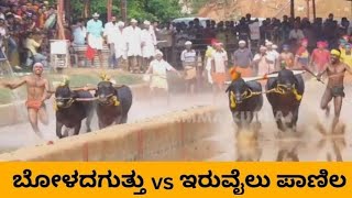 IRUVAILU PANILA \u0026 BOLADA GUTTU race 🔥🔥✨ #kambula #savekambala #tulunadu #tulunadculture