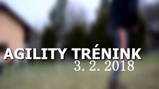 .: AGILITY TRÉNINK - 3.2.2018 :.