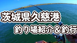 茨城県釣り場チェック！久慈港！【2023年11月最新】