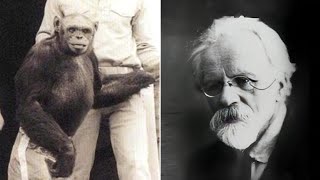 Unraveling the Controversial Experiments of Ilya Ivanov: The Quest for Human-Ape Hybrids