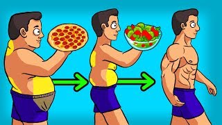3 BEST Diets to LOSE WEIGHT & BELLY FAT
