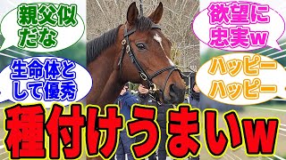 【ドウデュース】種付け上手だった！生物として完璧すぎるwwに対するみんなの反応集【競馬の反応集】