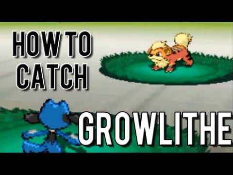 How to Catch Growlithe - Pokemon Black 2 and White 2 How to Catch Growlithe - Pokemon Black 2 and White 2