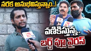 🔴 Live : చికెన్ తినక నరకం అనుభవిస్తున్నాం..! | Bird Flu Virus | Public Reaction The Bird Flu Virus