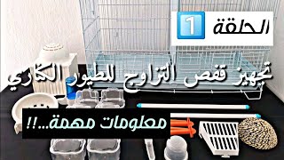 طريقة تجهيز قفص التزاوج للطيور الكناري و الأخطاء التى يجب علينا تجنبها للإنتاج الوفير والسليم