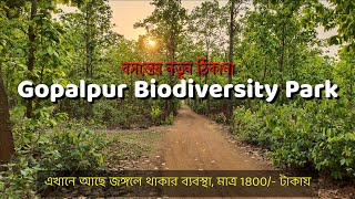 গোপালপুর বায়োডাইভার্সিটি পার্ক | gopalpur biodiversity park