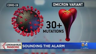 Local Experts Weigh In On Omicron COVID Variant