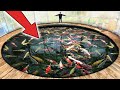 World's LARGEST Most Expensive Koi Fish!