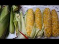 why microwave corn for 1 min 10% husk 微波玉米