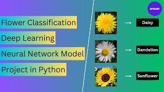Flower Classification Project in Python Deep Learning Neural Network Model Project in Python
