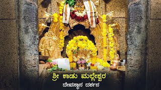 Kadu Malleshwara Temple  ಕಾಡು ಮಲ್ಲೇಶ್ವರ Shiva Temples in Malleshwaram | Shiva Temples in Bangalore