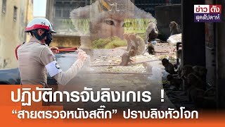 ปฏิบัติการจับลิงเกเร ! “สายตรวจหนังสติ๊ก” ปราบลิงหัวโจก | ข่าวดัง สุดสัปดาห์ 30-03-2567