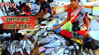 Dharashiv fish market tour | Seafood variety at Osmanabad Fish Market