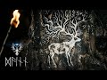 Rhythms of the North ༒ Dáinn