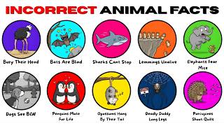 Incorrect Animal Facts Everyone Still Believes