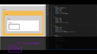 CSS 14 💻 box model