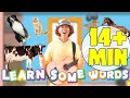 Animals - Learn Some Words and More With Matt, Tunes, and Bell