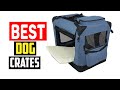 ✅Top 5 Best Dog Crates in Every Type in 2024