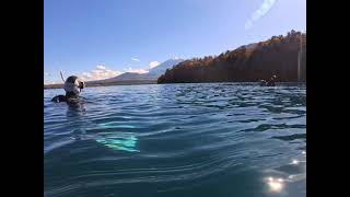 【ダイビング】本栖湖の水面から富士山を眺める✨