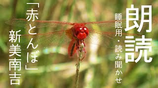 「赤とんぼ」新美南吉【読み聞かせ】＃朗読