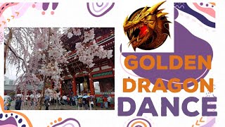 Golden Dragon Dance 2023 Asakusa Tokyo | TheArcTurn