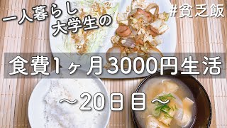 食費1ヶ月3000円生活⑳【一人暮らし/貧乏飯】