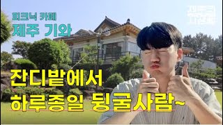 [제주의 사생활]로컬 제주인이 소개하는 제주/ 예스러운 기와집에서 즐기는 피크닉/ 카페 '제주 기와'