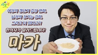 정력에 좋다는 음식 마카! 과연 남자에게 효과가 있을까요?