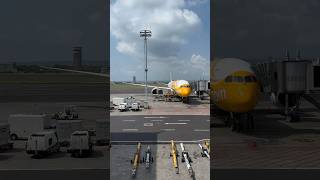 Scoot TR280 (Singapore to Bali)