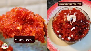 गाजराचा हलवा | दूध खवा न वापरता झटपट सोपी पद्धत | Gajar Ka Halwa | Dhiraj Kitchen