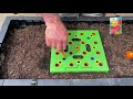 skip bedell demonstrates the seeding square