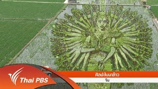 ศิลปะในนาข้าว (23 มิ.ย. 61)