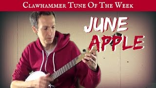 Clawhammer Banjo: Tune (and Tab) of the Week - \