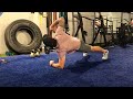 vital training systems elbow plank rotations