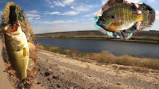 Delta Mendota Canal Fishing!!! (FIRE???)