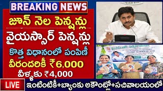 రేపు వైఎస్సార్ పెన్షన్ కానుక 3 కొత్త విధానాల్లో పంపిణీ | YSR Pension Kanuka Latest Updates