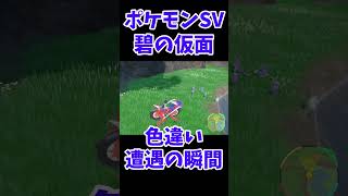 【ポケモンSV碧の仮面】色違い遭遇の瞬間16（お守り、大量発生、輝きパワーなし） #Shorts #ポケモン