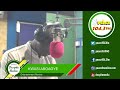 Entertainment Review On Peace 104.3 FM (09/03/2024)